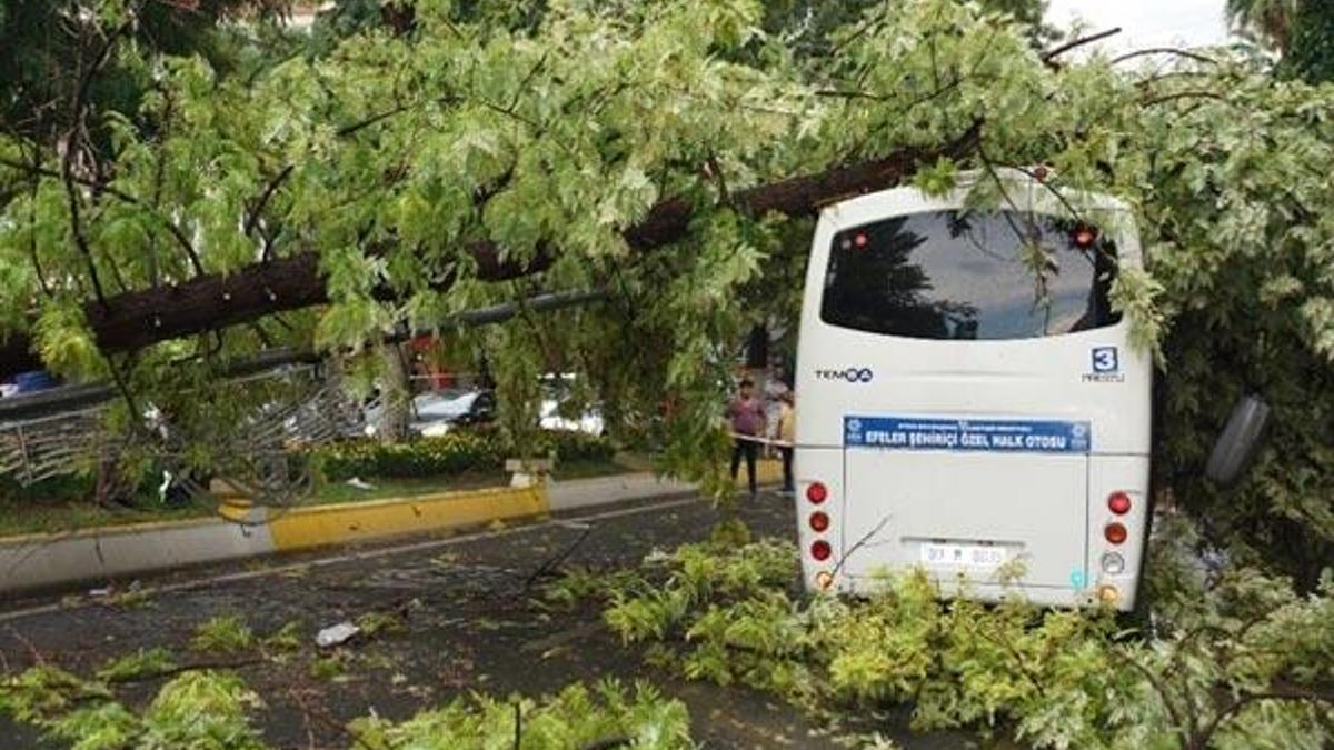 3 ilde şiddetli fırtına! Çatılar uçtu, ağaç minibüsün üstüne devrildi