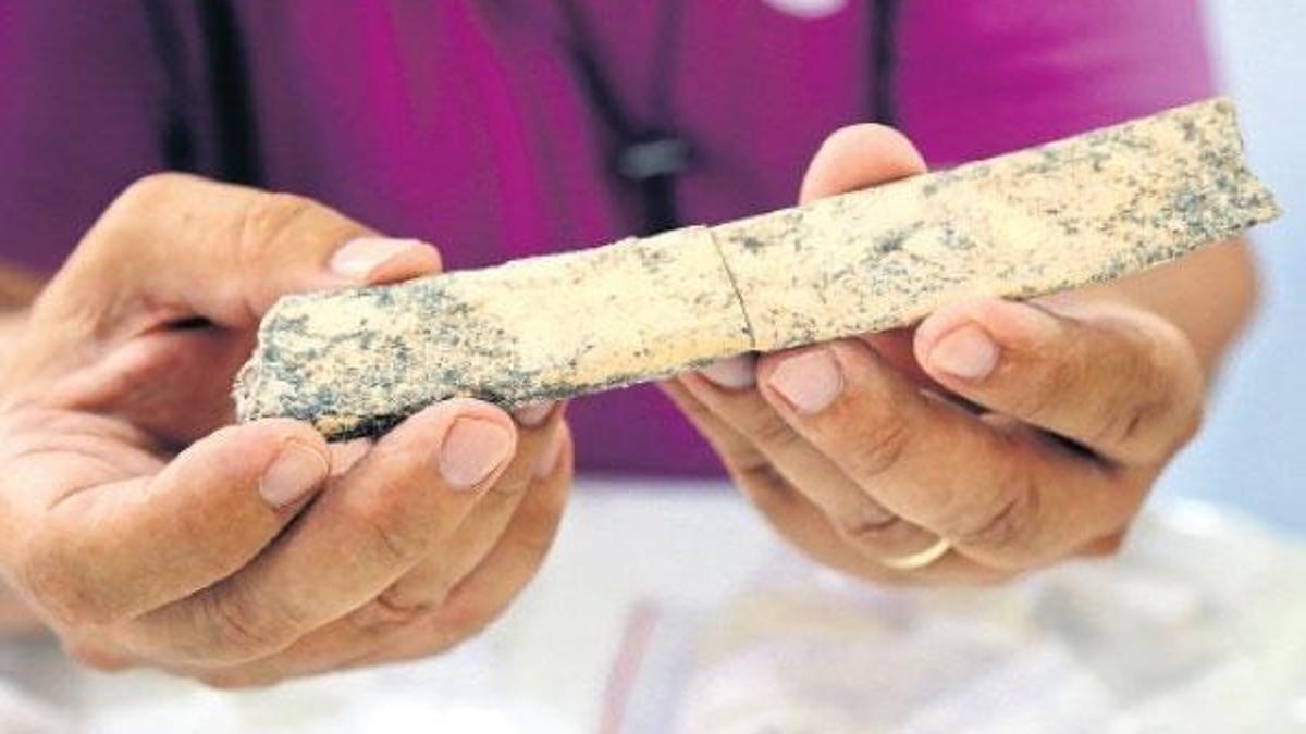 350 bin yıllık kemik