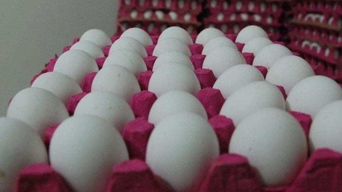 Zehirli yumurta skandalı dünyaya yayılıyor!