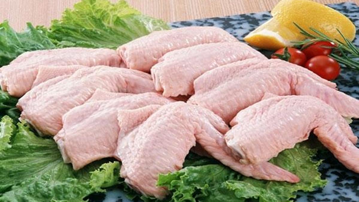 19 piliç şirketine soruşturma