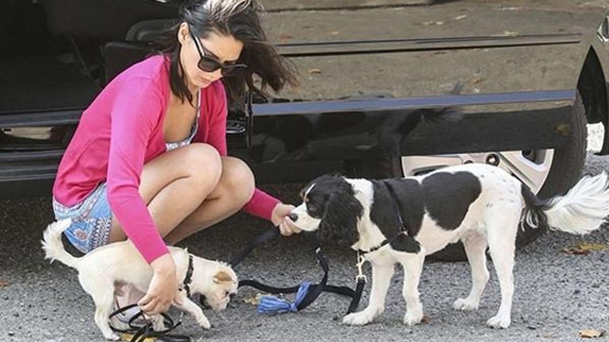 Set arasında köpek gezdirdi!