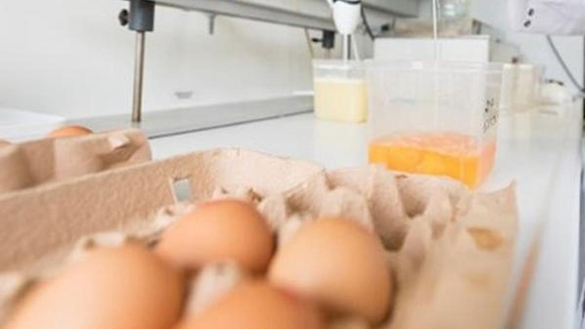 Böcek ilaçlı yumurta skandalı büyüyor!