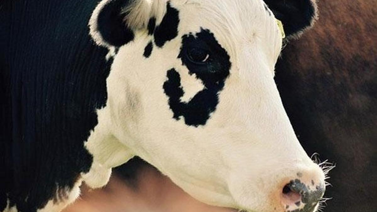 Kurban Bayramı tatili uzatıldı…