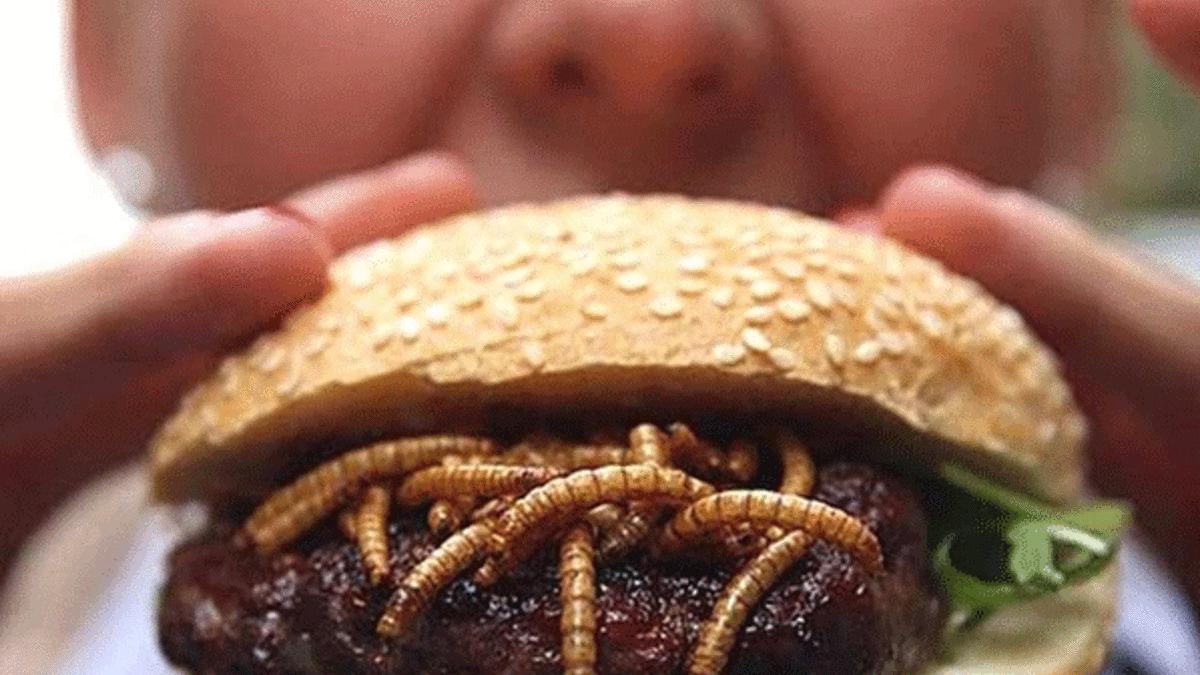 Un kurdu içeren hamburger satışına izin veren ilk Avrupa ülkesi!