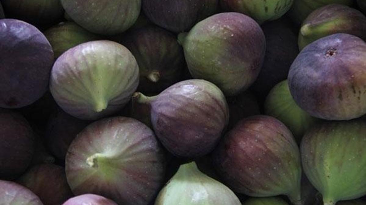 Kraliçe incirinden rekor başlangıç