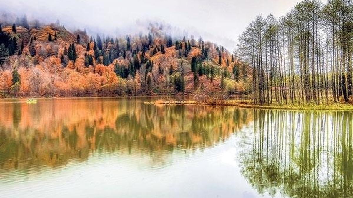 Cerattepe için Anayasa Mahkemesi’ne başvuru