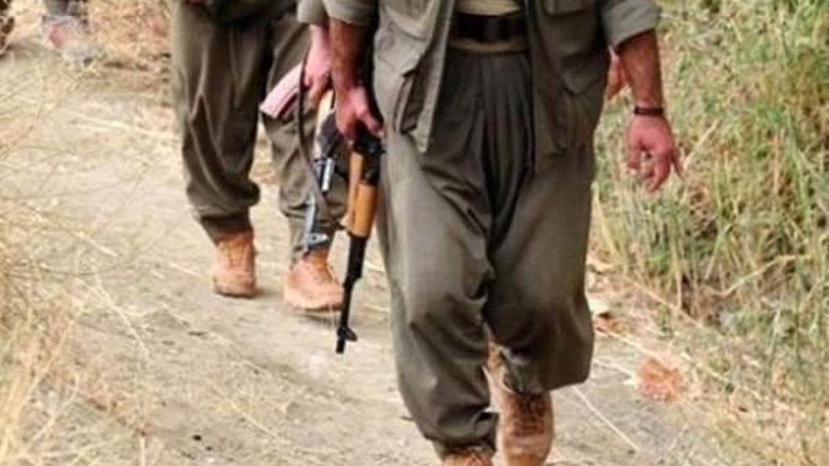 PKK'lı teröristlerden vahşilik! Ağaca bağlayıp öldürdüler