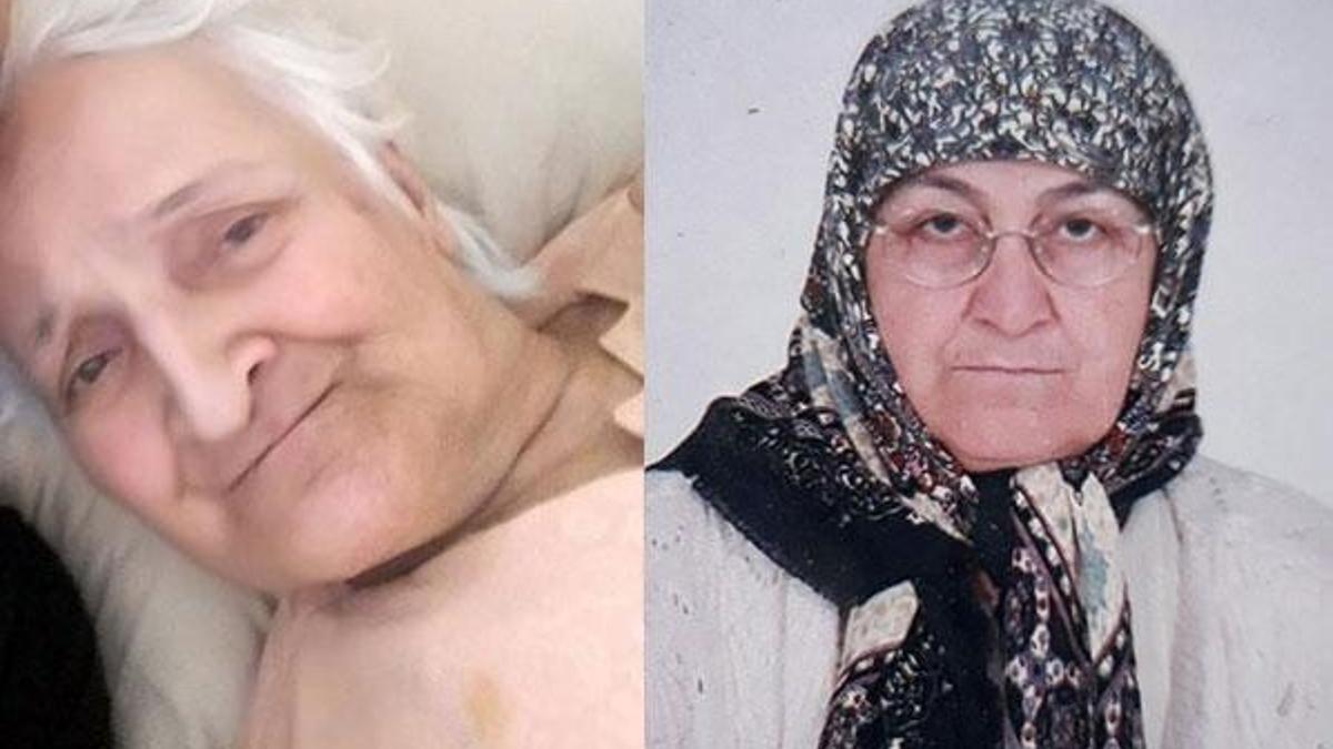 Aynı gün doğup aynı gün öldüler