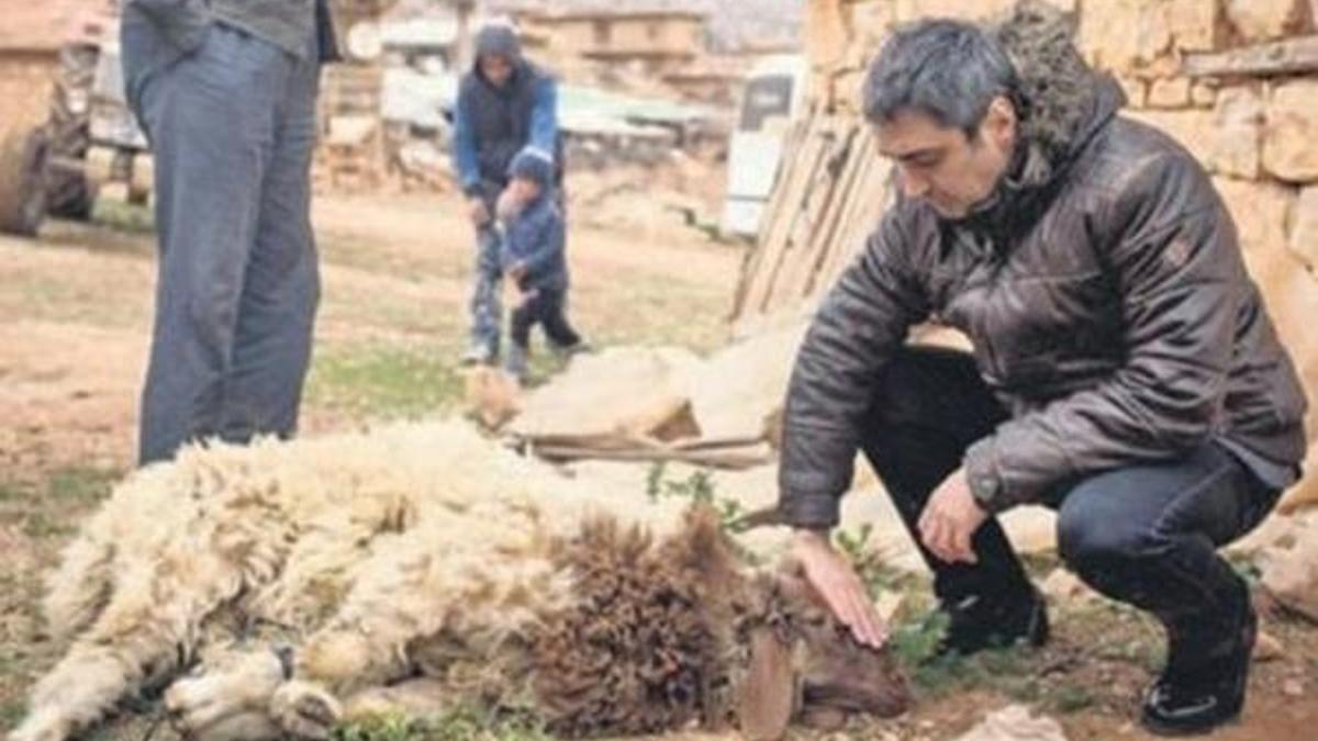 Yeni film için kurban kesti!