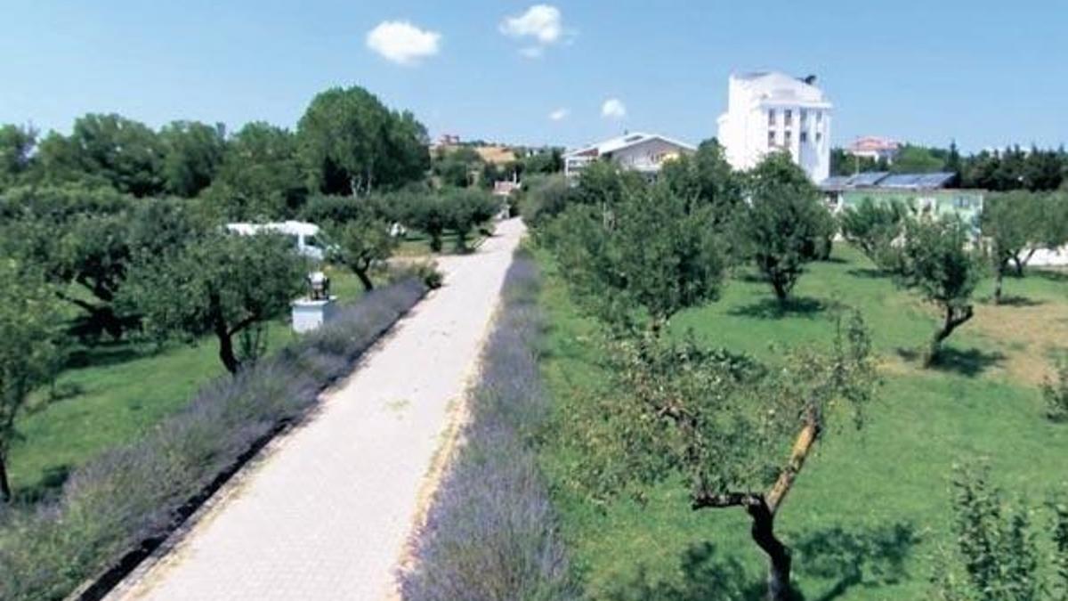 Nesin’e Bağış yarışı