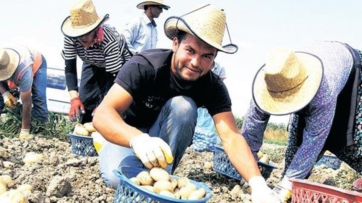 Bir de ‘akıllı tarım’ olsa tadından yenmez