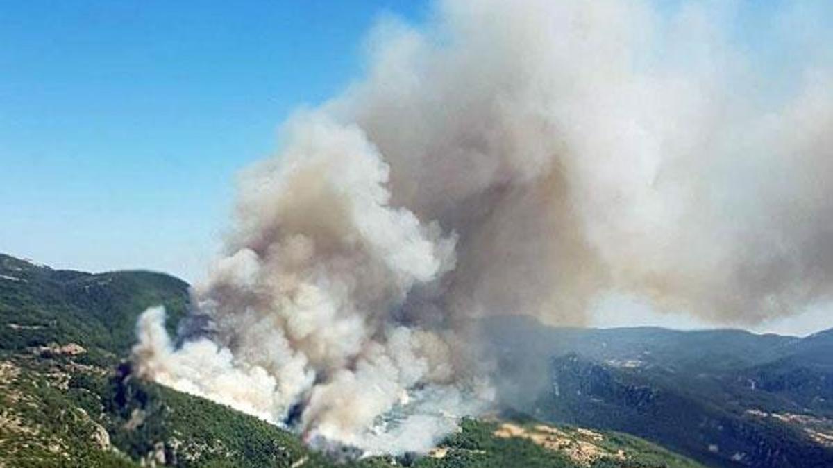 Muğla Menteşe'de orman yangını