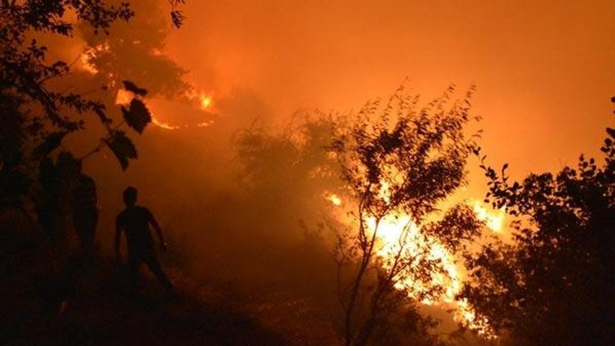 Alevler Zeytinköy'ün tamamını sardı!