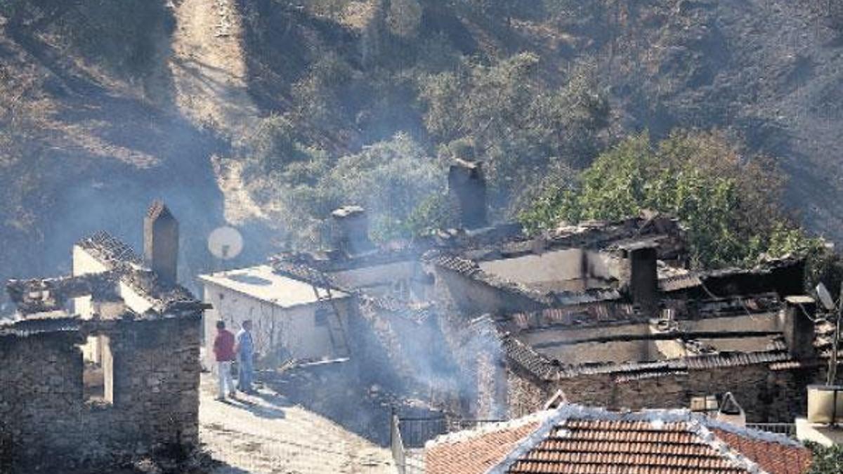 Hem orman hem de köy kül oldu