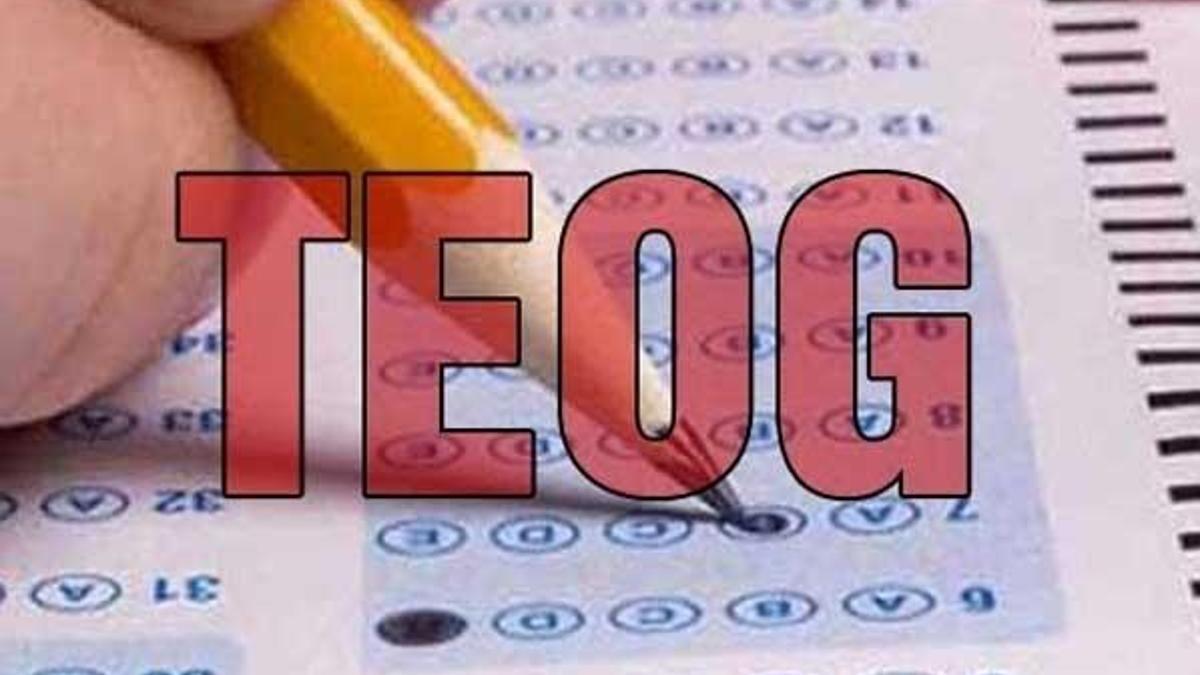 TEOG 3. nakil sonuçları açıklandı!