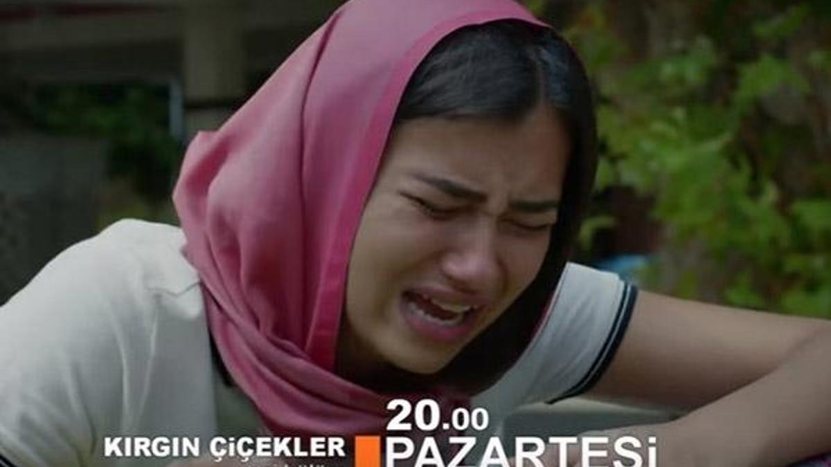 Kırgın Çiçekler yeni sezona ne zaman başlayacak?