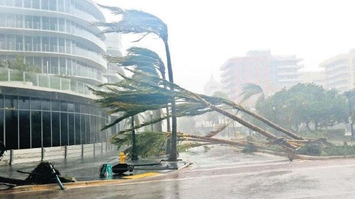 İmdat Miami!