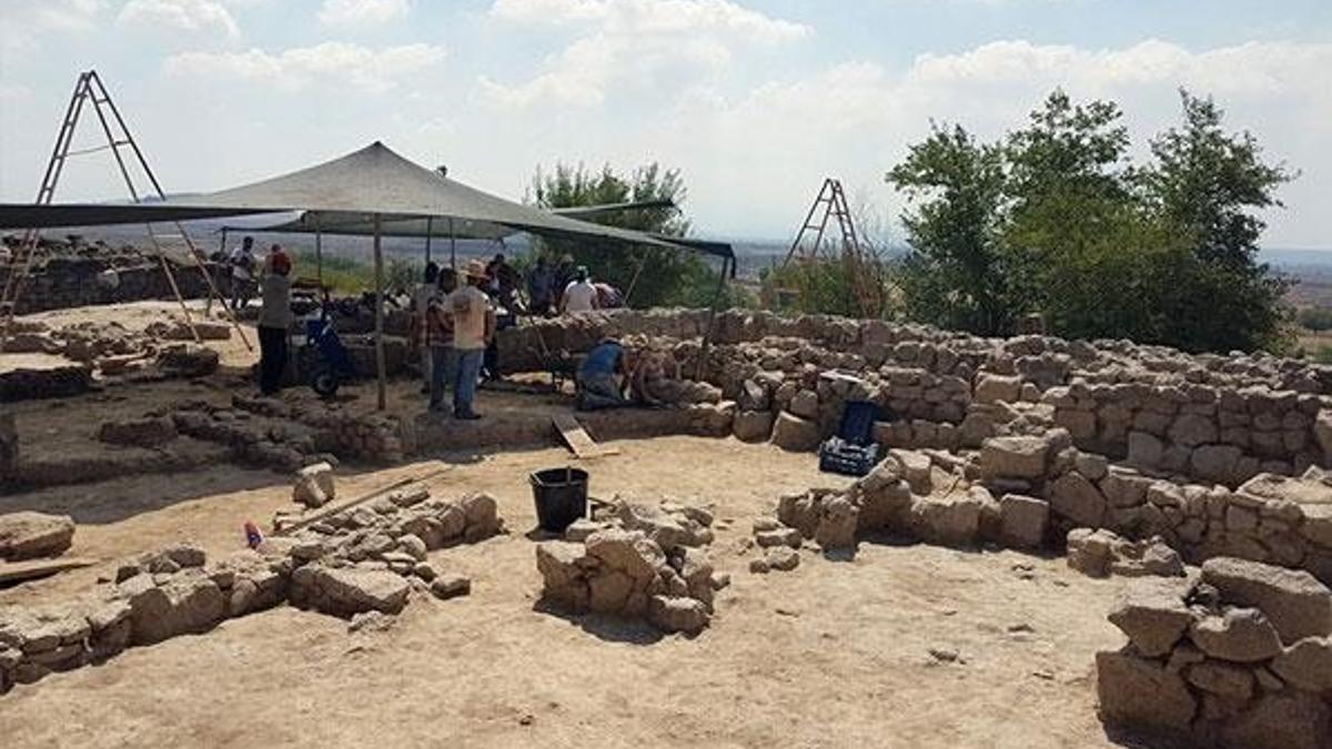 Adana'da fil kalıntıları bulundu