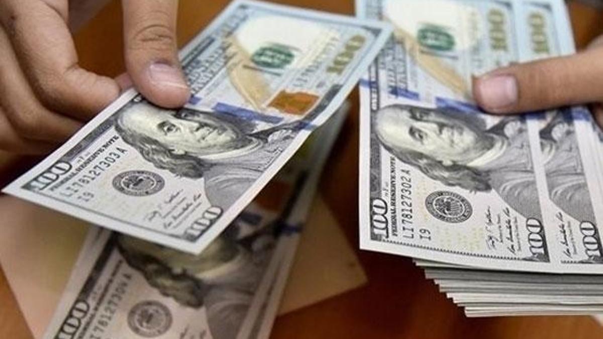 Yabancı ekonomistlerden Türkiye'ye büyüme övgüsü