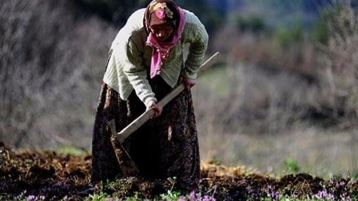 Evde-tarlada çalışan kadına sosyal koruma