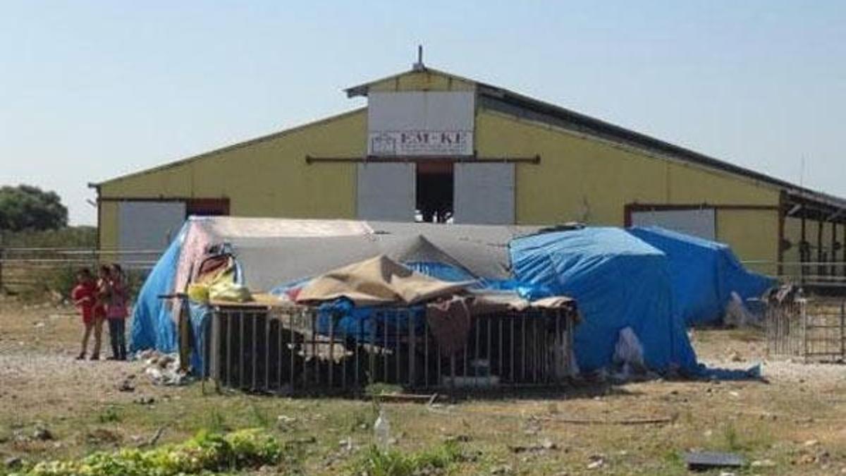 İflas eden milyonluk tesis onlara barınma alanı oldu