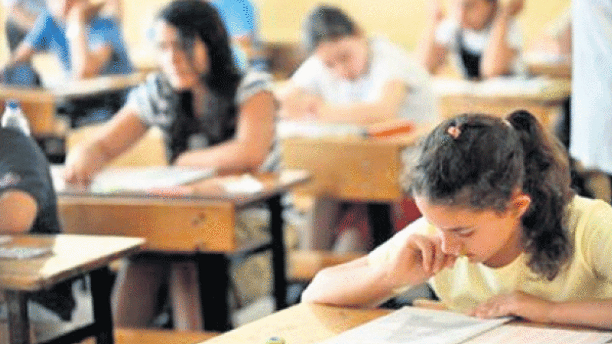 ‘Teste dayalı sistem eğitimi ve toplumu çürüttü’