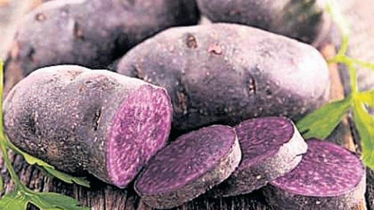 Kolon kanserine karşı mor patates