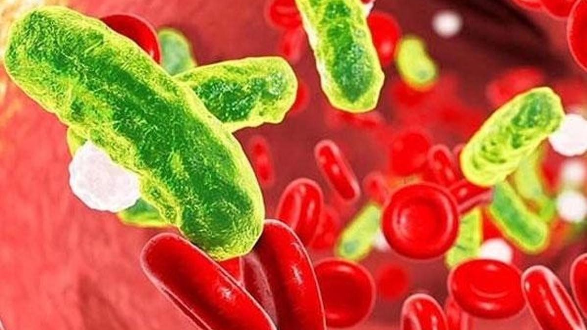 Sessiz katil sepsis! Kanser ve AIDS’den daha ölümcül