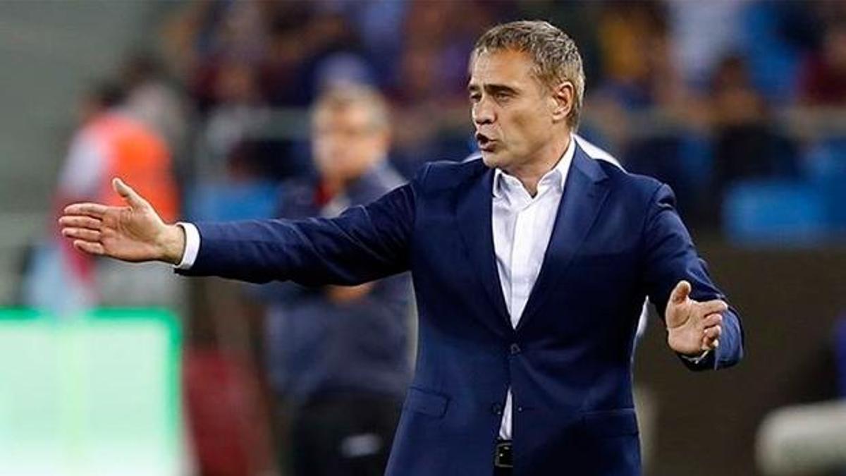 Yanal revizyona hazırlanıyor