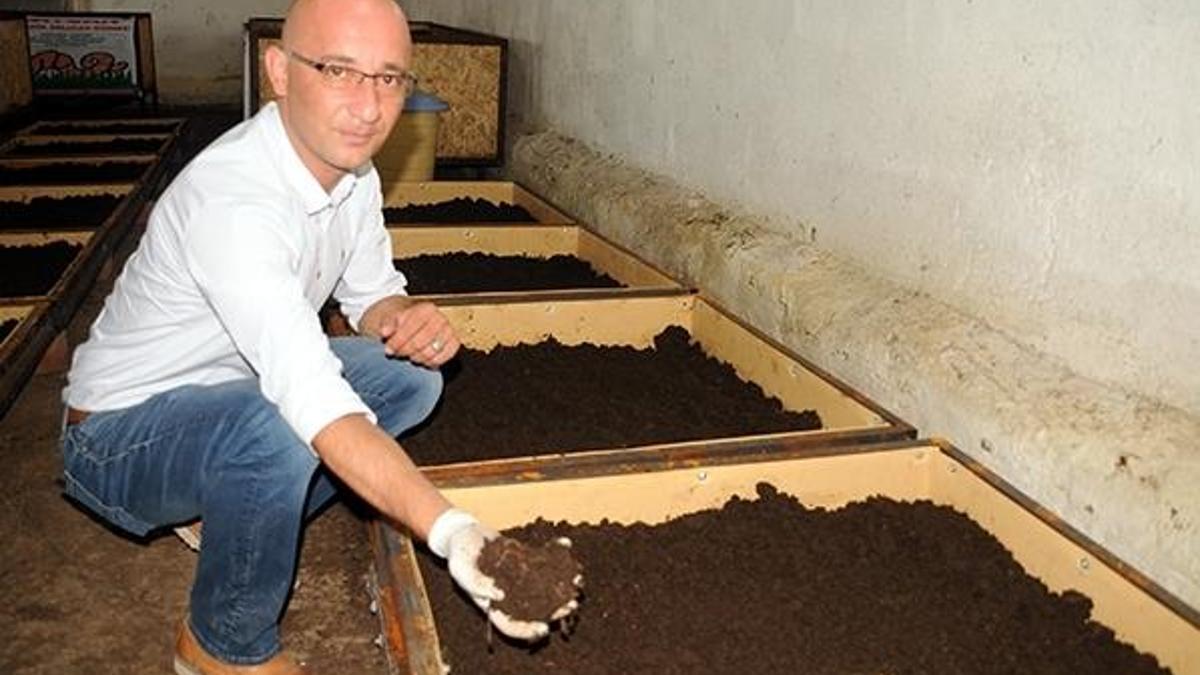 Solucan satışından 1 yılda 1 milyon lira kazandılar