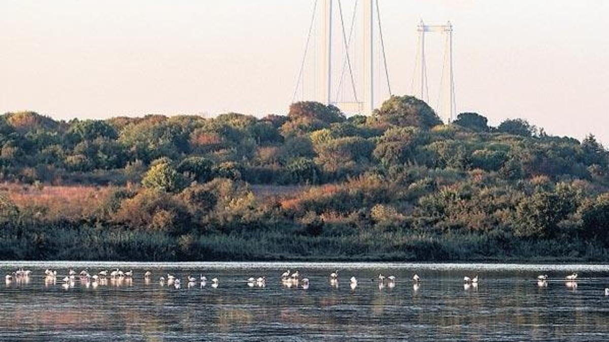 Kuş Oteli’ni dünya izleyecek