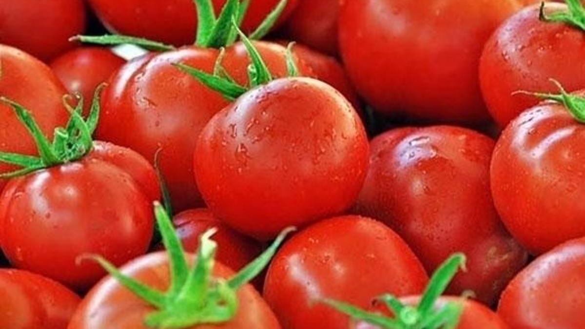 Türkiye ile Rusya arasında tarım savaşı