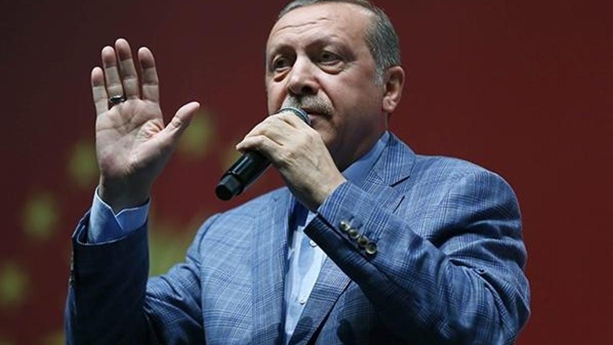 Erdoğan açıkladı: Vize krizinin sebebi...