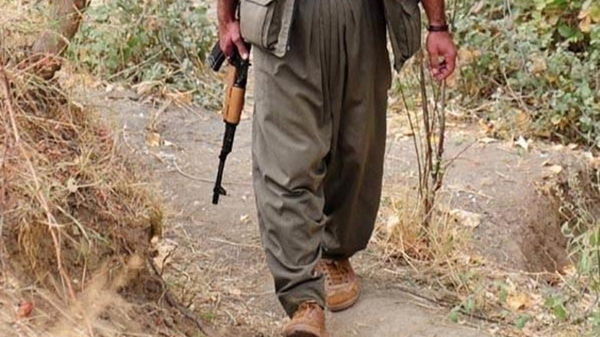 Siirt'te 1 PKK'lı terörist öldürüldü