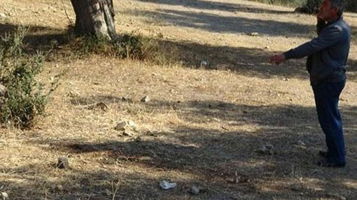 Balıkesir'de dehşet: Zeytinlikte kafasını kesmişler