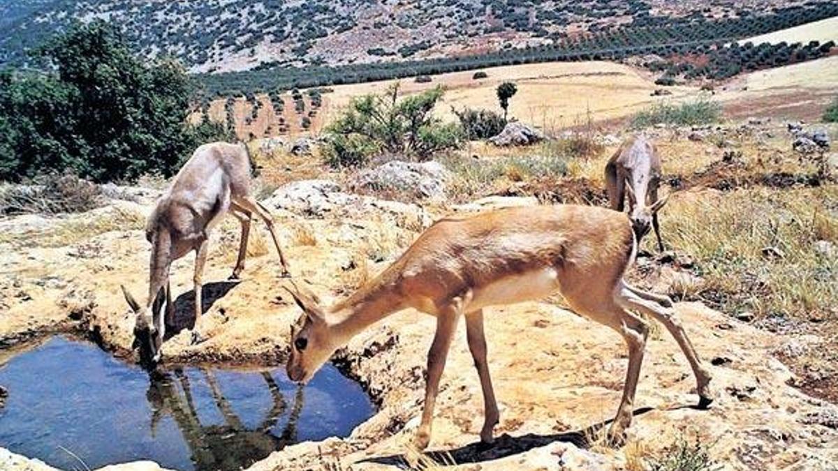 Buraya çimento fabrikası yapılır mı!