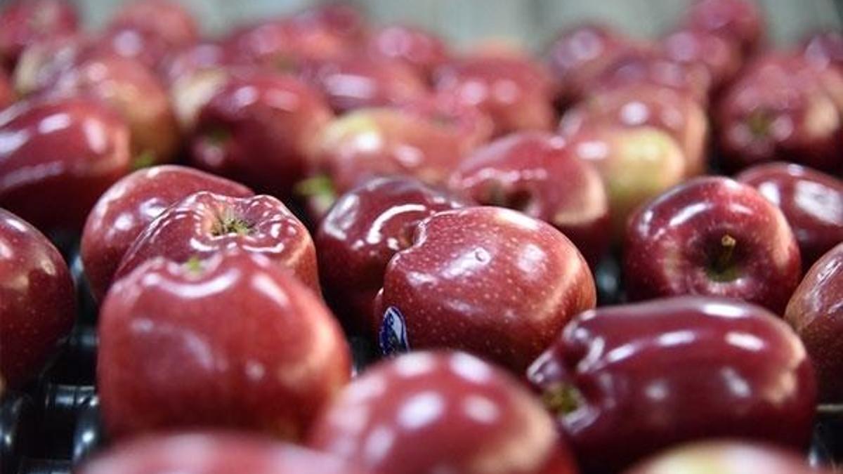Elmayı yıkamak yetmiyor karbonatlı suda bekletin