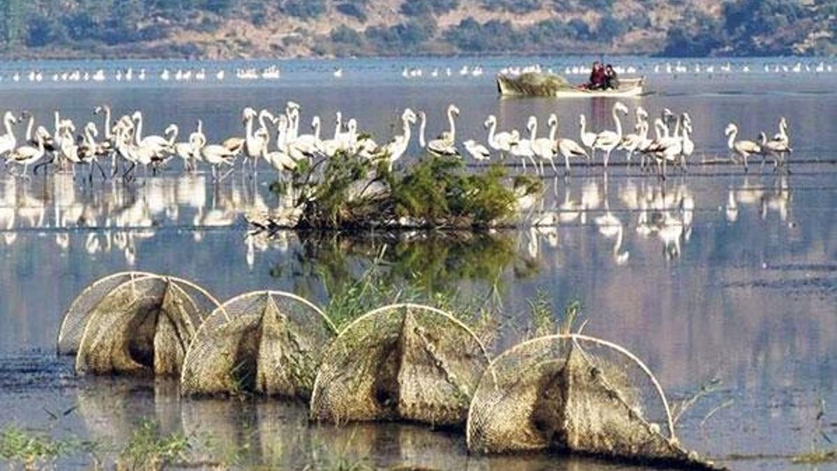 Bafa Gölü Tabiat  Parkı’na maden  ocağı tepkisi