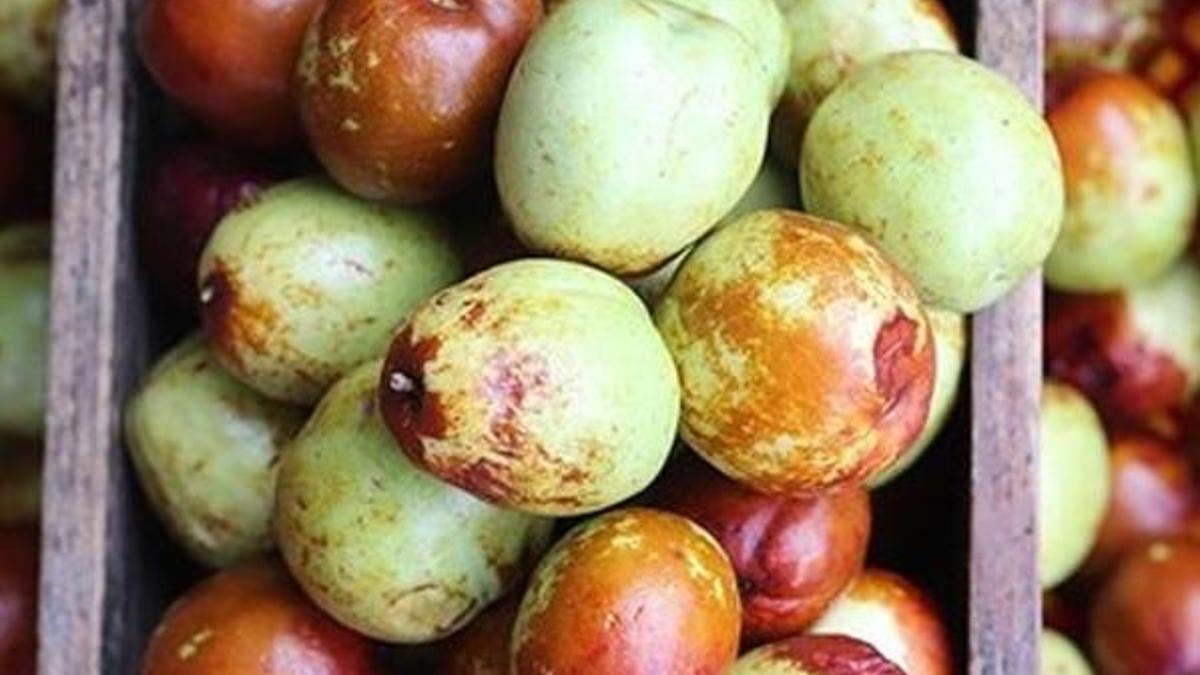 'Ölümsüzlük meyvesi' için bakanlık harekete geçti!