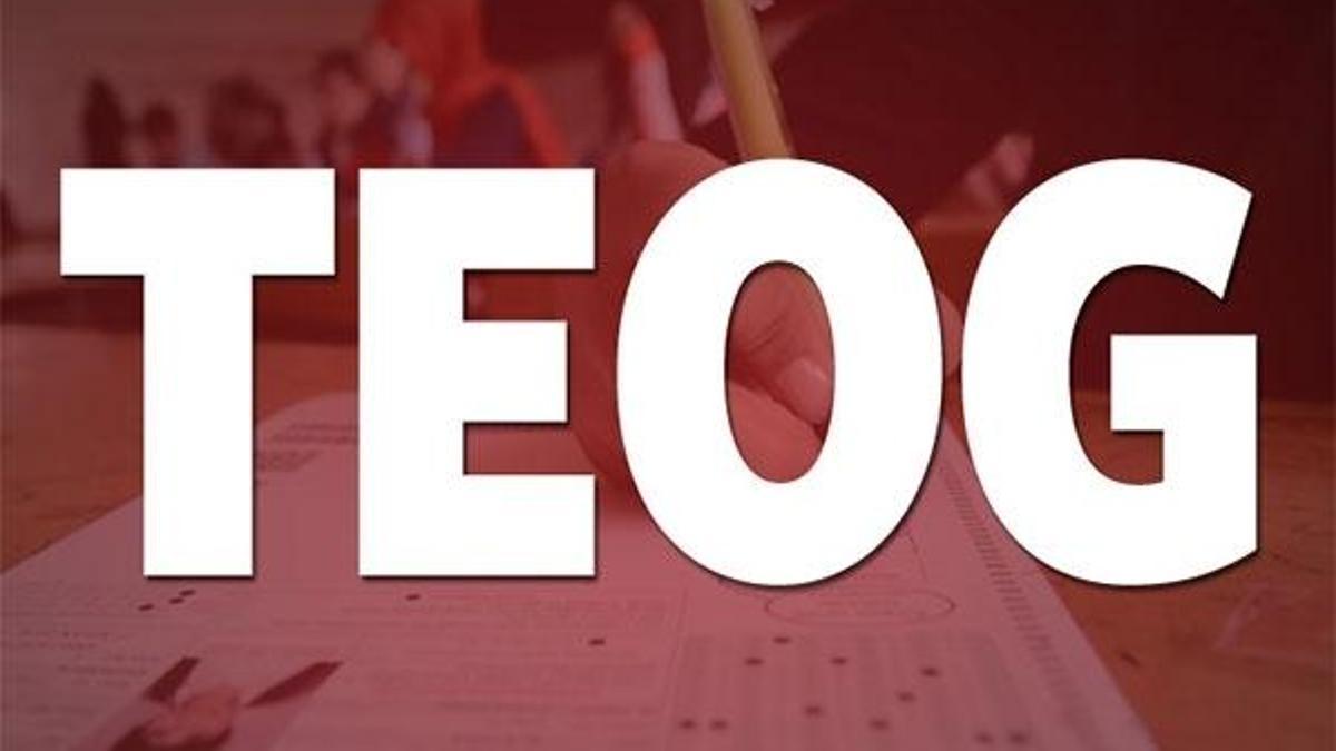 Teog sınavı yerine nasıl bir sınav geliyor?