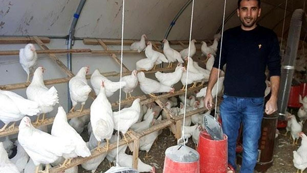İstanbul'dan memleketine döndü, yumurta üreticisi oldu