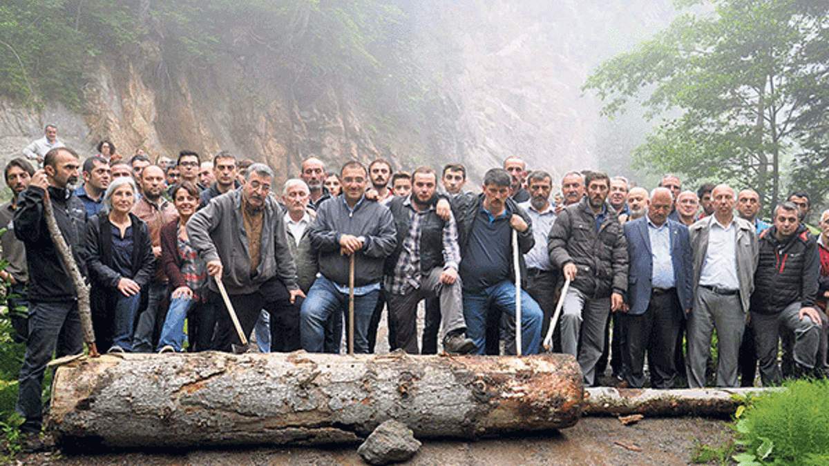 Cerattepe’de orman katliamı iddiası
