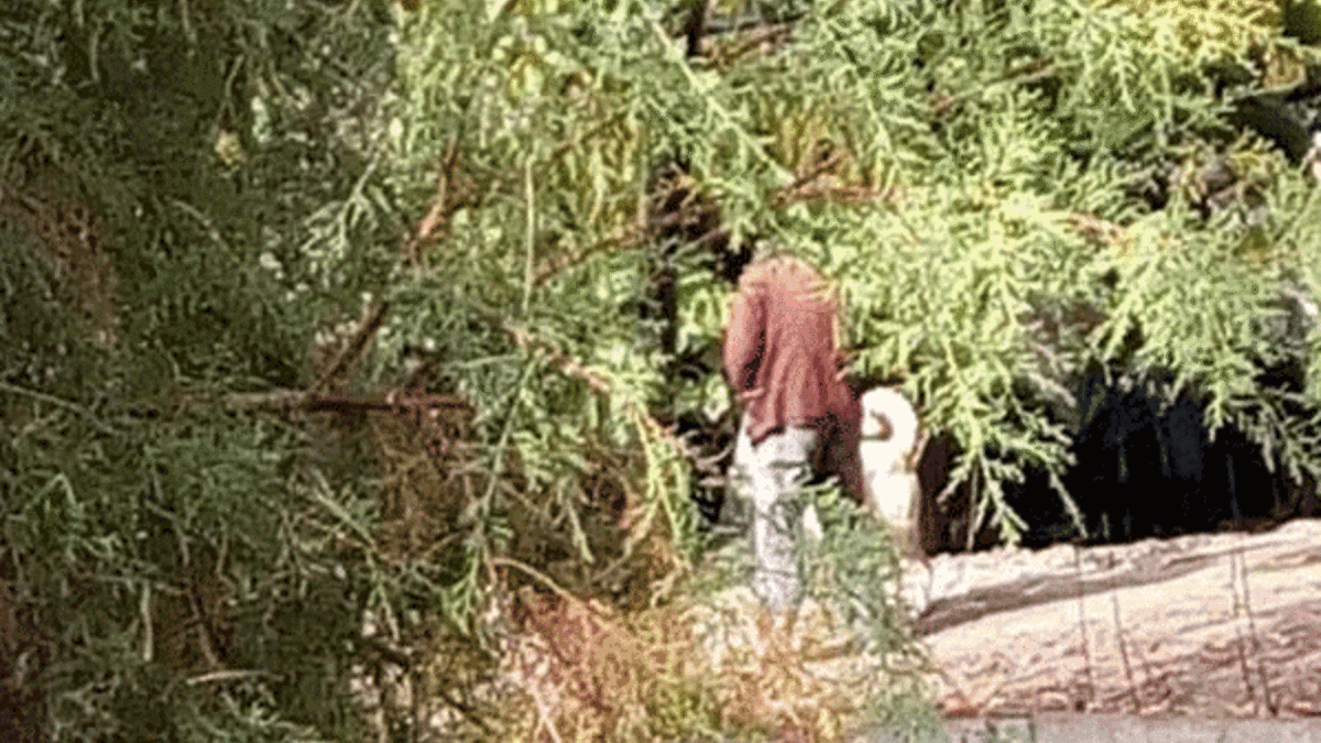 Köpeğe tecavüz haberi asılsız çıktı
