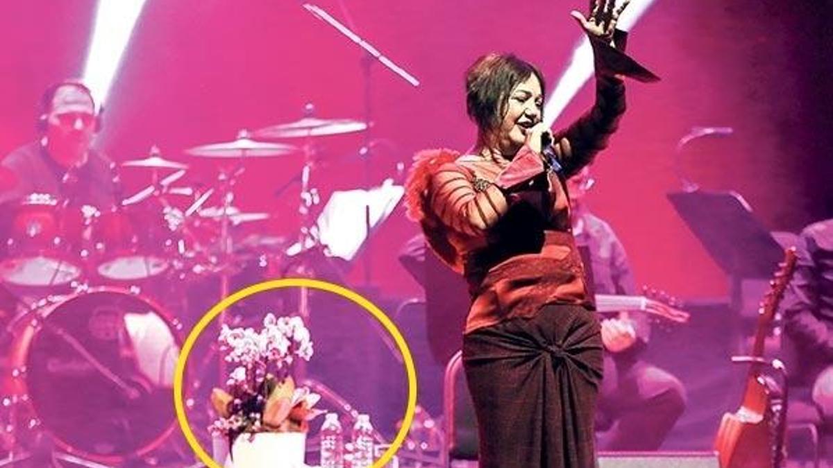 Nazan Öncel: Tarkan acılı günlerimde yanımdaydı