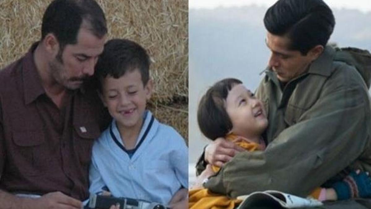 Ayla, Babam ve Oğlum'u geçer mi?