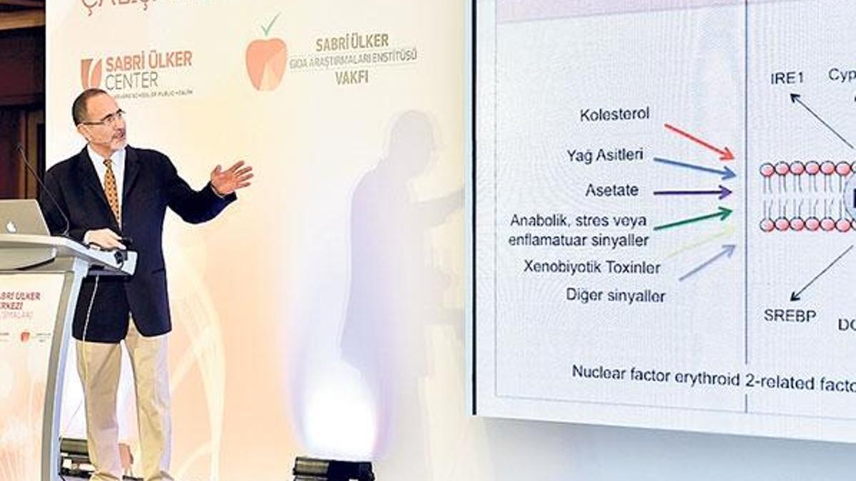 Kolesterolü dengeleyen molekülde Türk keşfi