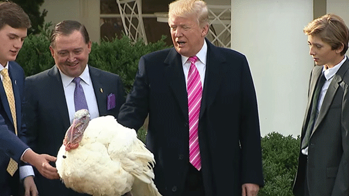 Trump hindilerin canını bağışladı
