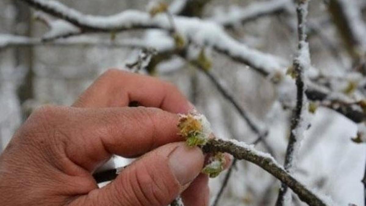 Meteorolojiden 5 il için don ve buzlanma uyarısı