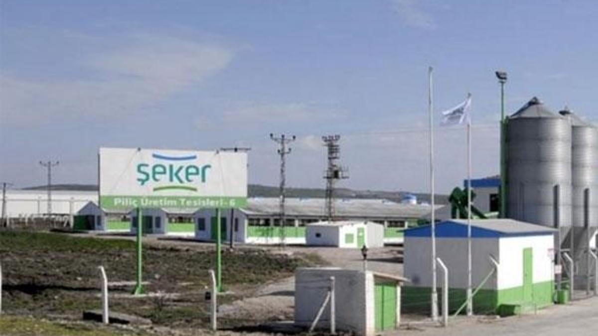 Beyaz et devi ikinci kez satışa çıktı
