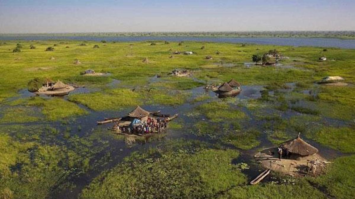 Güney Sudan'da hırsızlar kabileye saldırdı: 40 ölü